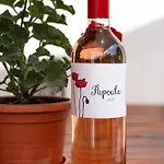 Papoula Vendeghaz شقة تيهاني