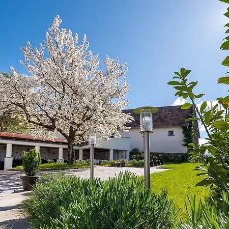 Papoula Vendeghaz Tihany