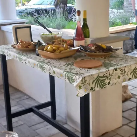 Papoula Vendeghaz