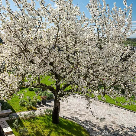 Appartamento Papoula Vendeghaz Tihany