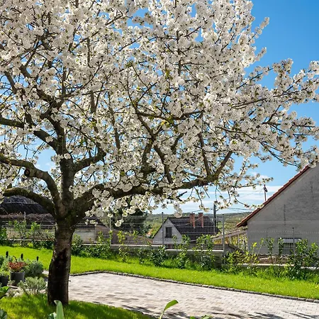 Appartamento Papoula Vendeghaz Tihany