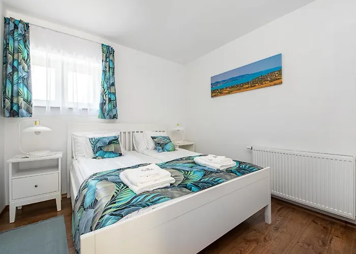 Papoula Vendeghaz * تيهاني