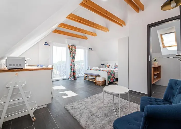 Papoula Vendeghaz * تيهاني