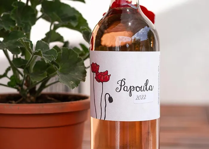 Papoula Vendeghaz דירה טיהאני