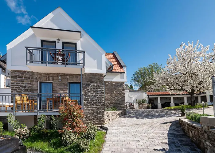 Papoula Vendeghaz * تيهاني