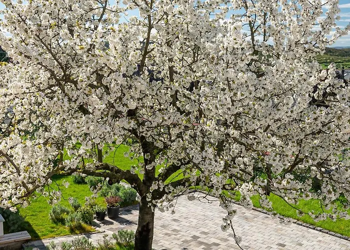 شقة Papoula Vendeghaz تيهاني