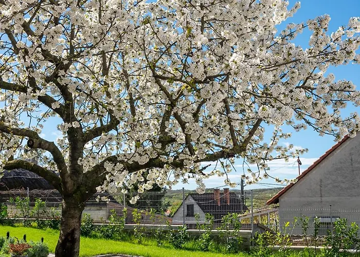 דירה Papoula Vendeghaz טיהאני